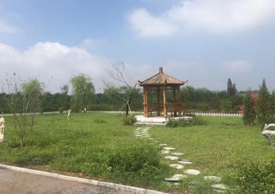 龙凤.jpg