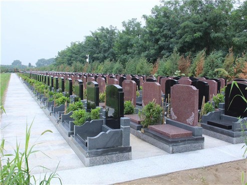 施孝.jpg
