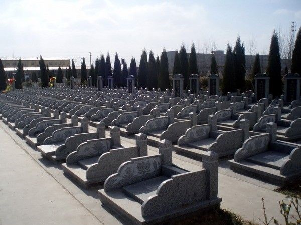 ABUIABACGAAgtYPAgAYopo3e-AUw2AQ4wgM.jpg
