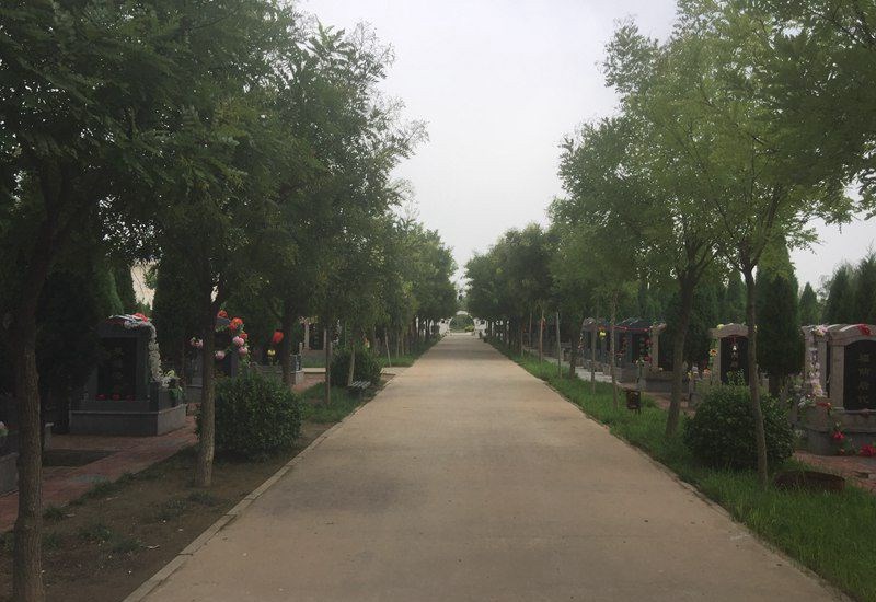 1529421620406263.jpg 1529421620406263.jpg