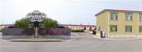 公司展示